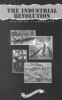 Book cover for "The industrial revolution".