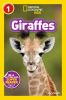 Book cover for "Giraffes".