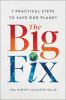Book cover for "The big fix"