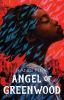 Book cover for "Angel of Greenwood".