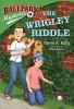 Book cover for "The Wrigley riddle".