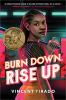 Book cover for "Burn down, rise up"