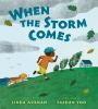 Book cover for "When the storm comes"