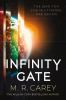 Book cover for "Infinity gate".