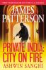 Book cover for "Private India".