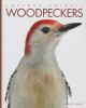 Book cover for "Woodpeckers".