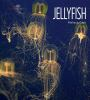 Book cover for "Jellyfish".