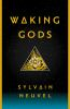 Book cover for "Waking gods".