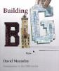 Book cover for "Building big"