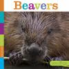 Book cover for "Beavers".