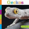 Book cover for "Geckos".