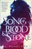 Book cover for "Song of blood & stone".