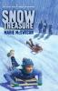 Book cover for "Snow treasure"