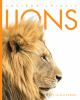 Book cover for "Lions".