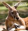 Book cover for "Kangaroos".