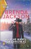 Book cover for "What he wants for Christmas".
