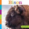 Book cover for "Bison".