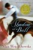 Book cover for "Shadow of a bull"
