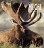 Book cover for "Moose".