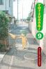Book cover for "Yotsuba&!".