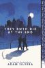 Book cover for "They both die at the end"