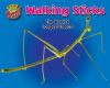 Book cover for "Walking sticks".