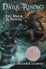 Book cover for "The Dark is rising"