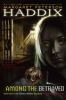 Book cover for "Among the betrayed"