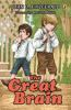 Book cover for "The great brain"