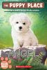Book cover for "Angel".