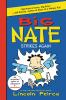 Book cover for "Big Nate strikes again".