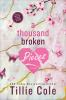 Book cover for "A thousand broken pieces".