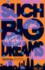 Book cover for "Such big dreams"
