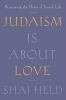 Book cover for "Judaism is about love"