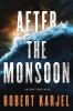 Book cover for "After the monsoon".