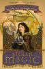 Book cover for "Stolen magic".