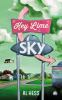 Book cover for "Key lime sky"