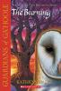 Book cover for "The burning".
