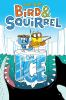 Book cover for "Bird & Squirrel on ice".