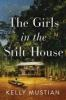 Book cover for "The girls in the stilt house"