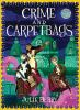 Book cover for "Crime and carpetbags".