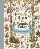 Book cover for "If you go down to the woods today"