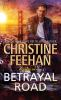 Book cover for "Betrayal road".