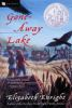 Book cover for "Gone-Away Lake"