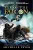 Book cover for "The eye of the falcon".