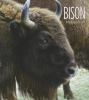 Book cover for "Bison".