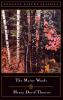 Book cover for "The Maine woods".