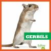 Book cover for "Gerbils".