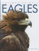 Book cover for "Eagles".