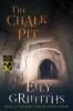 Book cover for "The chalk pit".